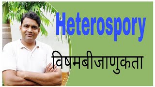 Heterosporyविषमबीजाणुकता [upl. by Ellebyam]