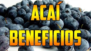 ACAÍ benefits Euterpe oleracea 🌿¿PARA QUE SIRVE  🌿Usos🌿 plants 🌿 video nature ASAÍ [upl. by Klatt]