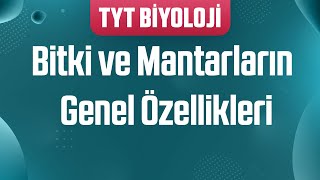 27 Sınıflandırma  Bitki ve Mantarların Genel Özellikleri [upl. by Wright20]