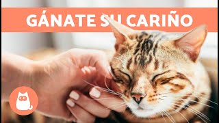 ¿Cómo hacer que un GATO sea más CARIÑOSO 🐱💕 5 Consejos para Conseguirlo [upl. by Akiram]