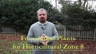 Great Low Maintenance Foundation Plants for Horticultural Zone 8 Part 1 [upl. by Icats]