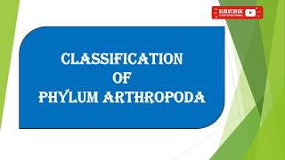 Phylum Arthropoda classification Both Old and Latest classification [upl. by Ainatnas]