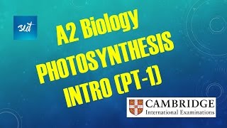 A2 Level Biology Photosynthesis An Intro 1 [upl. by Hayden]