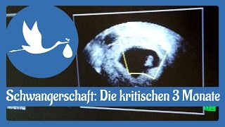 Schwangerschaft Die ersten 3 kritischen Monate [upl. by Anica]