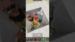 vindicator Vs Villager mix in Minecraft minecraft [upl. by Boorer262]