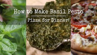 Garden Recipe Fresh Basil Pesto [upl. by Ttelracs]