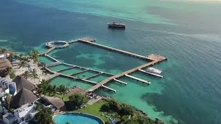 🐬 Nado con Delfines en Isla Mujeres 🐬 Cancun 2020 Dolphin Discovery [upl. by Sherfield112]