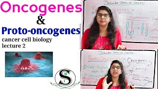 Oncogenes and Proto Oncogenes \ Oncogenes biochemistry \ Molecular basis of Cancer [upl. by Ball]