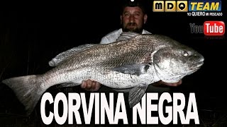 Como hacer una linea para Corvina Negra blackdrum miraguaia [upl. by Yvel]