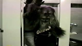 Utah Jazz Bear gives Seattle Supersonics Squatch a Swirlie [upl. by Klotz]