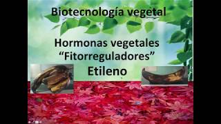 Etileno La hormona vegetal que ayuda contra el cáncer [upl. by Mieka]