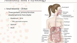 Introduction to Gastrointestinal Disorders [upl. by Nyleimaj]