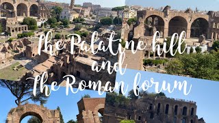 THE PALATINE HILL and the ROMAN FORUM travel rome historical italy archeology [upl. by Aiam779]