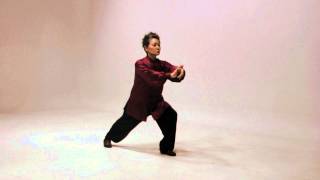 Simplified 24 Tai Chi routine [upl. by Ayitahs411]