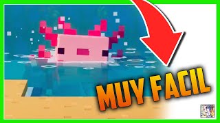 👉COMO DOMAR un AJOLOTE NUEVA MASCOTA en MINECRAFT 117 [upl. by Schnurr]