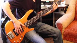 Korn  Narcissistic Cannibal bass cover [upl. by Enidanreb]