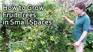 How to Grow Fruit Trees in Small Spaces [upl. by Idnac]