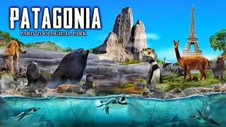 Zoo Tours Patagonia  Paris Zoological Park [upl. by Deirdra81]