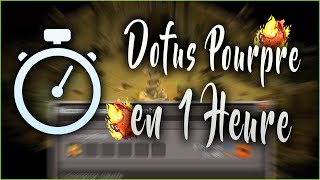 Dofus  Obtenir Le Dofus Pourpre de A à Z en 1H [upl. by Novello353]