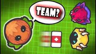 TROLLING TEAMERS IN ZOMBS ROYALE Zombsroyaleio SOLO vs TEAMERS Funny Moments [upl. by Verna]