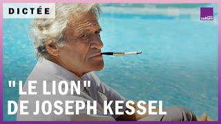 La Dictée géante  quotLe Lionquot de Joseph Kessel [upl. by Aterg]