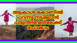 The heaven beauty of Idukki സ്വർഗ്ഗവസന്തം തീർക്കുന്ന ഇടുക്കി പരുന്തിൻമേടിലെ കാഴ്ചകൾ കാണാം [upl. by Stulin337]