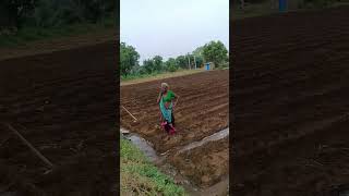 honana dhohariya farming villagelife farmer agriculture 🌾🌾🌾🌾 Thakor Miraben short video status [upl. by Amerigo]