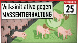 Massentierhaltungsinitiative Volksinitiative  Volksabstimmung 25 September 2022 [upl. by Paresh]