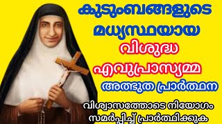 ഒരു ആവശ്യം മനസ്സിൽ ഓർത്ത് വിശ്വാസത്തോടെ പ്രാർത്ഥിക്കൂഅത്ഭുതം കാണംmiracleprayerവിശുദ്ധ എവുപ്രാസ്യമ്മ [upl. by Tezil]