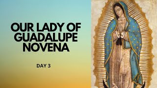 Day 3  Our Lady of Guadalupe Novena  Catholic Novena [upl. by Ilyssa]