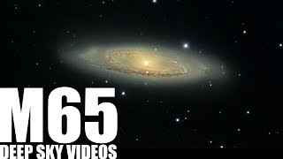 M65  An Easy Life  Deep Sky Videos [upl. by Avihs]