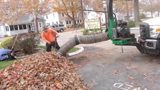 Leaf Removal Service Leaf Cleanup amp Leaf Collection [upl. by Nahamas554]