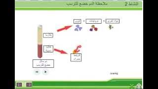 مكونات الدم الثالثة إعدادي [upl. by Orji]