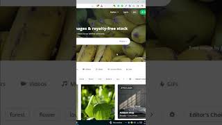 How to download images from pixabay free ©🔥😮 pixabay copyrightfree imege [upl. by Gen]