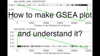 Gene Set Enrichment Analysis using RNA Sequencing Data 🧬 [upl. by Eedak]