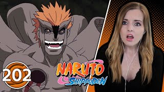 Racing Lightning  Naruto Shippuden Episode 202 Reaction  Suzy Lu [upl. by Leahsim]