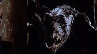 The Cellar 1989 Vinegar Syndrome Bluray Promo Trailer [upl. by Oehsen132]