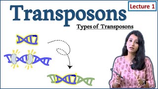 Transposable element I Types of Transposons I I DNA Transposons I Part I How transposon work [upl. by Westland]