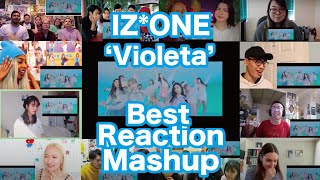 IZONE 아이즈원  quotVioletaquot MV Best Reaction Mashup [upl. by Iruy]