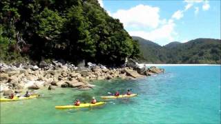 Your Guide to Nelson  New Zealand [upl. by Eirrehc855]