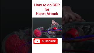 How to Perform CPR for Heart Attack scienceworld heart education health fitness cpr shorts [upl. by Allehc]