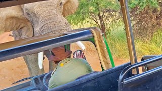 Elephant Picks up and Throws Truck full of Tourists [upl. by Nhguahs]