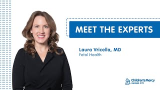 Meet the Experts Laura Vricella MD  Fetal Health [upl. by Keraj]