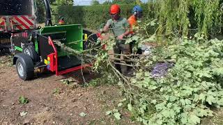 Greenmech Evo 165 45hp woodchipper chipping some sycamore [upl. by Gorrono773]