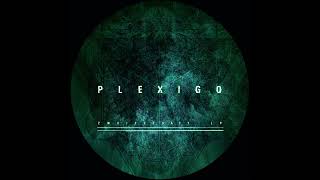 Plexigo  Zweifelhaft LP Full Album  Technoid Minimal Electronic  2OI3 [upl. by Pisano]