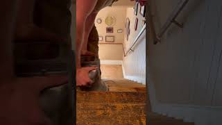 Refinishing stair treads woodfloors staining satisfying Woodworking BeforeAndAfter Restoration [upl. by Assener576]