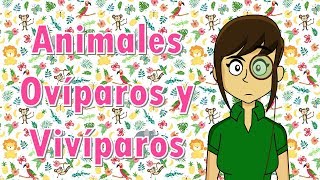 Clasificación de animales ovíparos vivíparos y ovivíparos [upl. by Yevette]