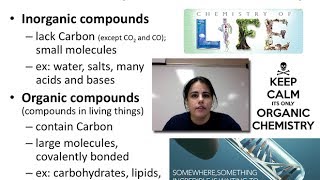 Biochem amp Carbohydrates Unit 1  Video 5A [upl. by Ebberta958]