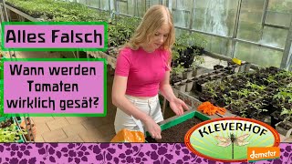 Wann werden Tomaten wirklich ausgesät [upl. by Attaynek]