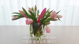 iittala Alvar Aalto vase with Tulips [upl. by Enyar]